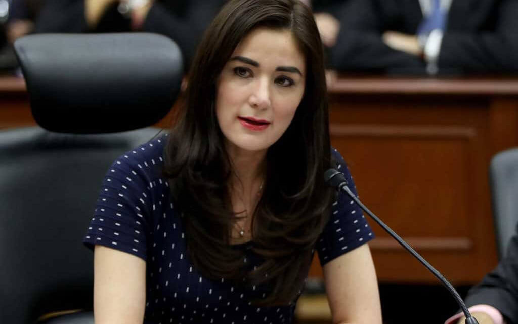 (México) Consejera del INE, Dania Ravel: Mujeres y hombres deben luchar para construir democracias igualitarias