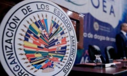 (Bolivia) OEA recomienda evitar acceso remoto a los sistemas de cómputo y contratar dos firmas auditoras