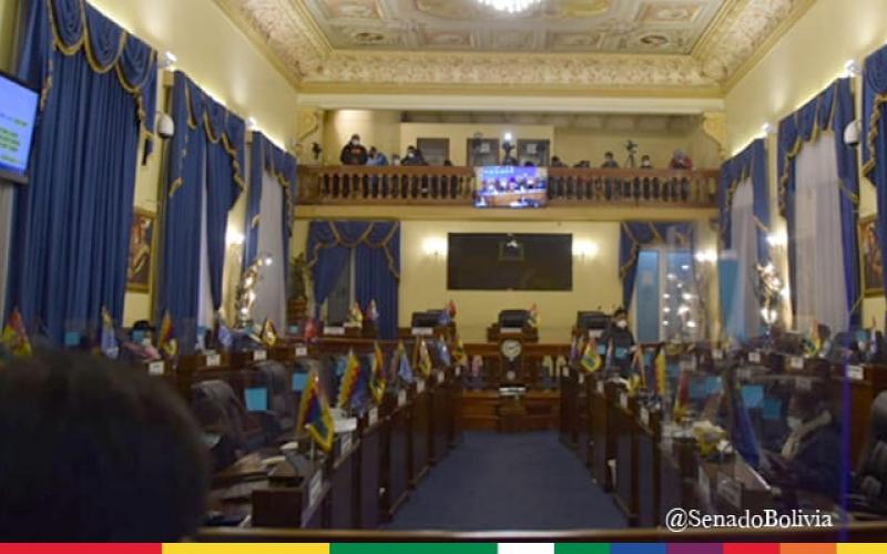 (Bolivia) Senado aprueba ley con nuevo plazo para elecciones y fija proceso penal para quien intente modificar la fecha de los comicios