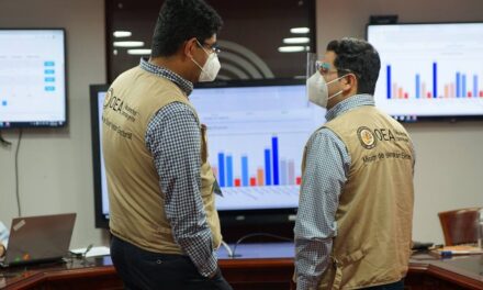 [Ecuador] CNE: 293 observadores internacionales se han acreditado para el balotaje