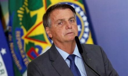 [Brasil] Jair Bolsonaro: el Tribunal Supremo de Brasil da luz verde para que se investigue al presidente por difundir noticias falsas