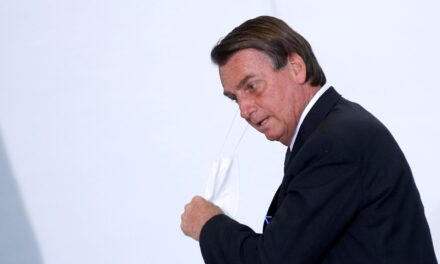 [Brasil] El partido de Bolsonaro prometió defender sistema electoral en el TSE