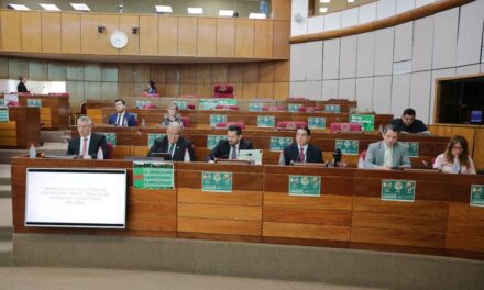 Ministros del TSJE celebran avance del proyecto de observación electoral