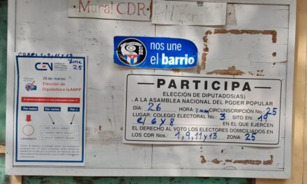 Observadores independientes denuncian irregularidades en las ‘elecciones’ cubanas